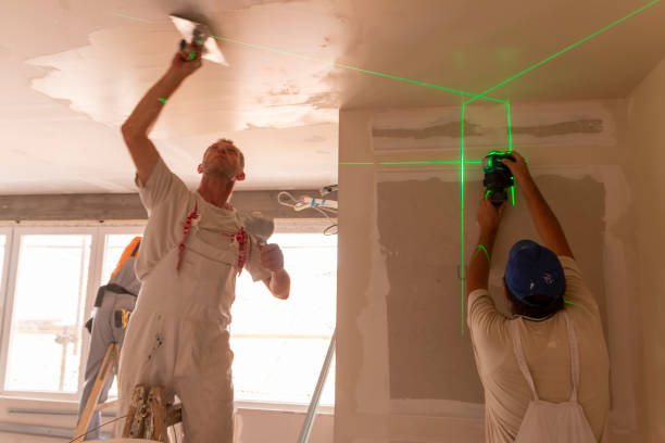 Best Water-Damaged Drywall Repair  in Maria Stein, OH